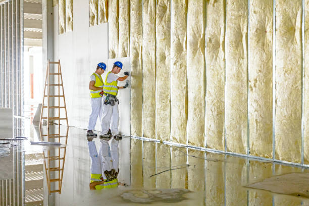 Best Insulation Maintenance and Repair in Englewood, OH